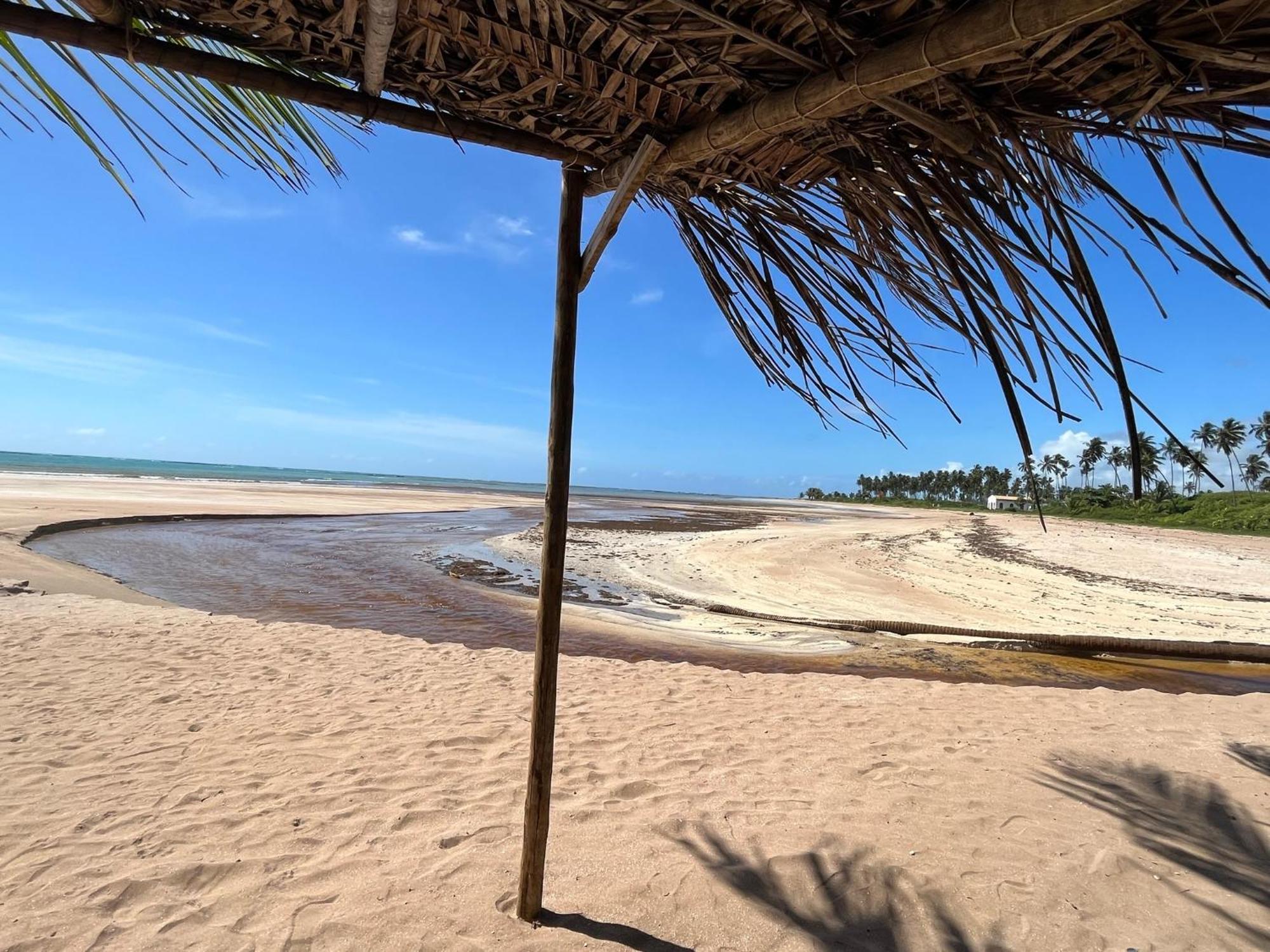 Casa Com Piscina - Milagres - Praia E Capela São Miguel dos Milagres Exterior foto